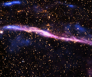 Al combinar datos del Imaging X-ray Polarimetry Explorer (IXPE) de la NASA, que se muestra en azul claro, Chandra (púrpura) y el Telescopio Espacial Hubble de la NASA (amarillo), los investigadores están investigando Vela, las secuelas de una estrella que colapsó y explotó.