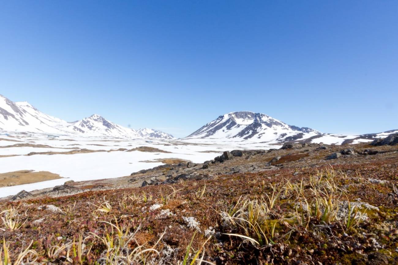 El noroeste de Groenlandia estuvo libre de hielo hace 400.000 anos