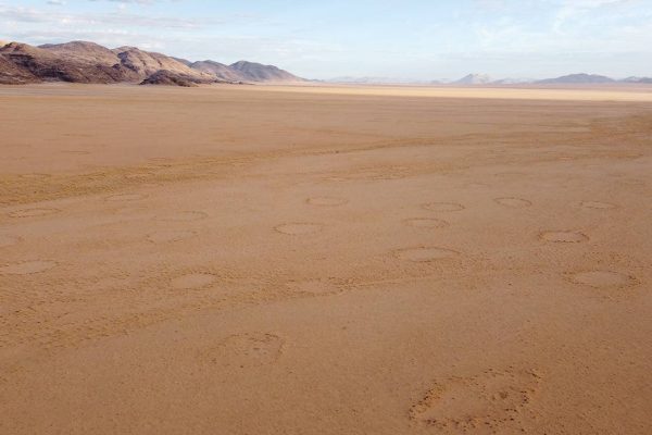 Los misteriosos circulos de hadas estan en desiertos de todo el mundo