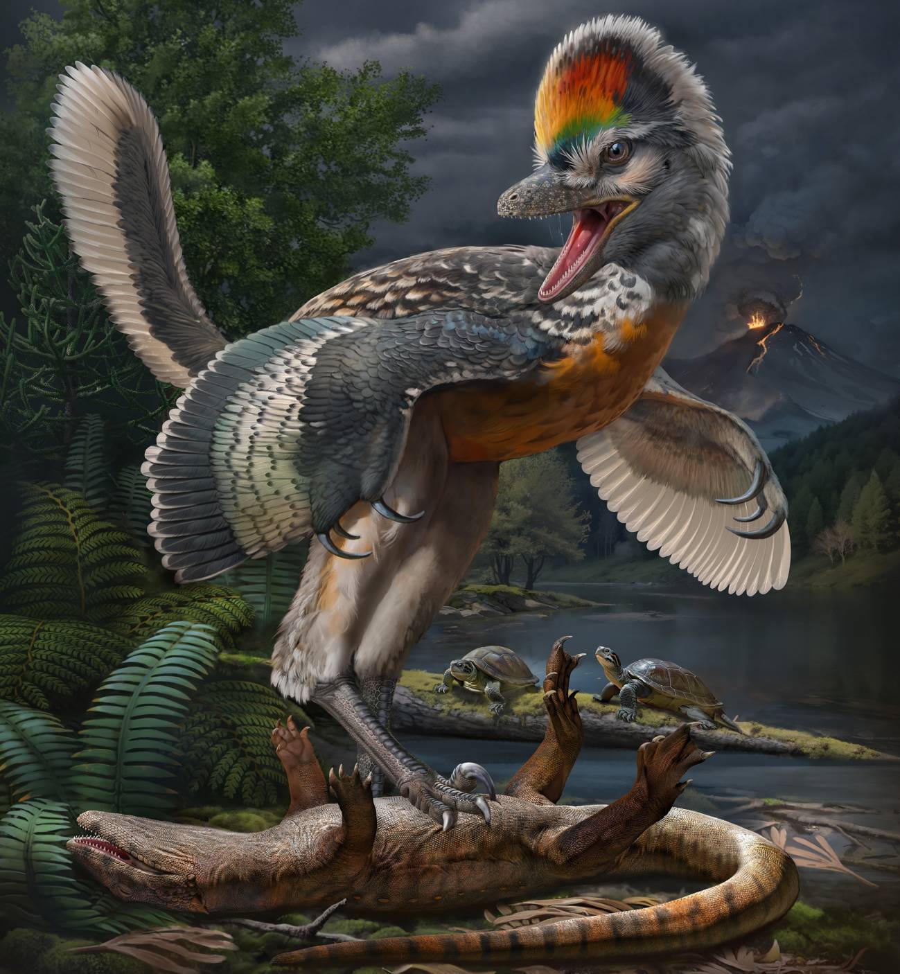 Un fosil hallado en China da nuevas claves para conocer el origen de las aves