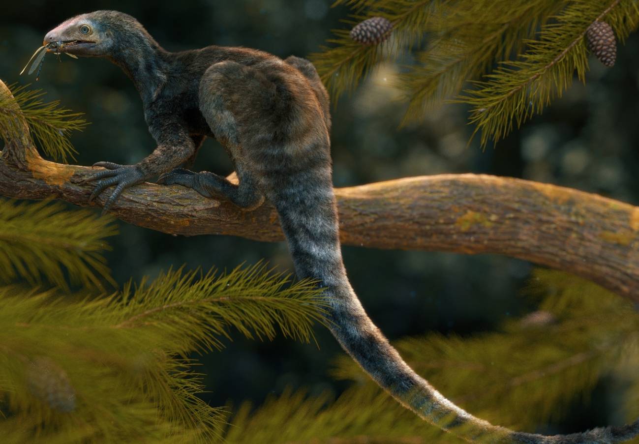 Un pequeno reptil extinto muestra que los dinosaurios y los pterosaurios evolucionaron entre diversos antepasados