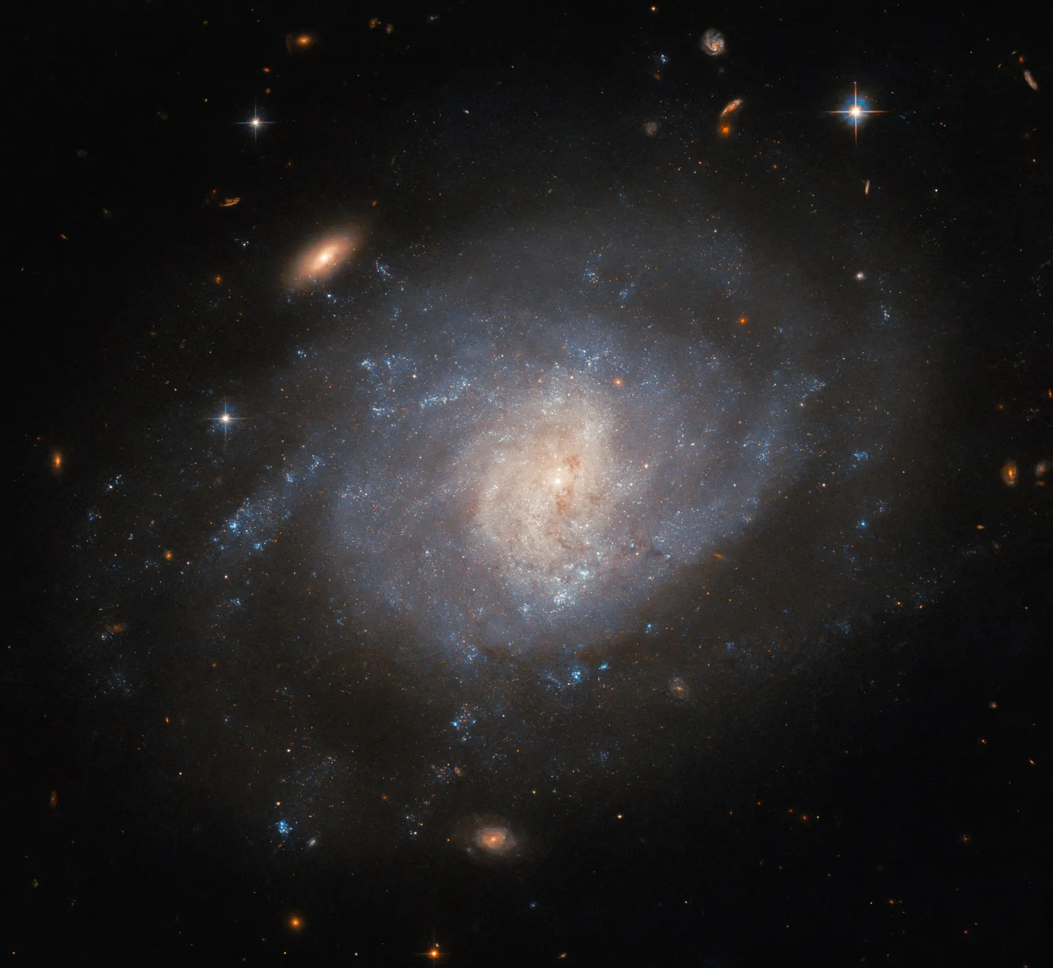 Una imagen del Telescopio Espacial Hubble de la NASA de la galaxia espiral NGC 941. ESA/Hubble y NASA, C. Kilpatrick