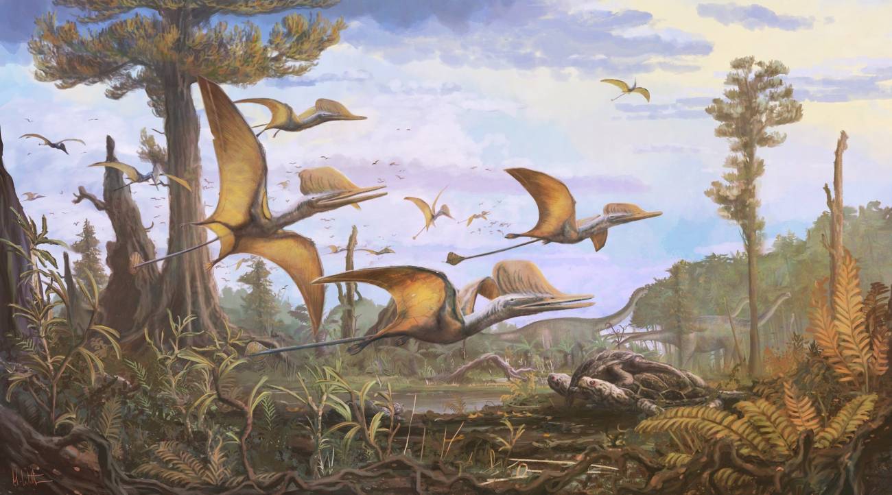 Hallan en Escocia una nueva especie de pterosaurio del Jurasico1