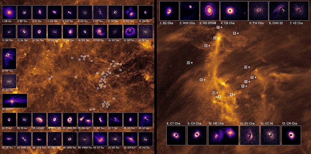 Así se ven docenas de discos de formación planetaria alrededor de sus estrellas