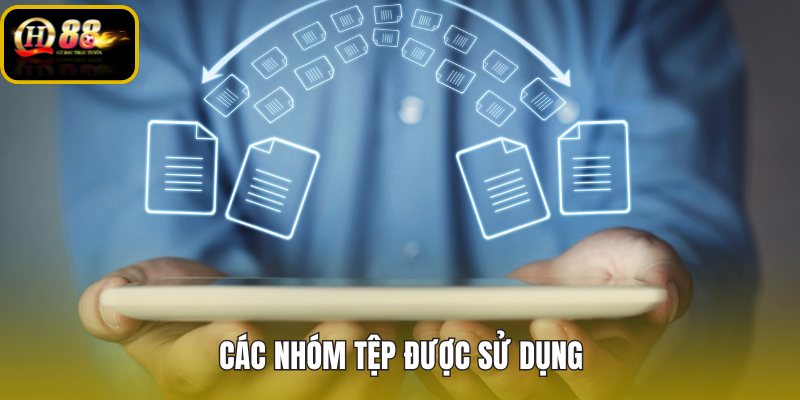 cac-nhom-tep-duoc-su-dung cac-nhom-tep-duoc-su-dung