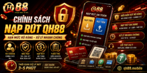 Chính sách nạp rút QH88