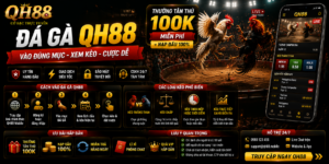 Đá gà QH88