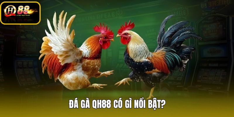 da-ga-qh88-co-gi-noi-bat