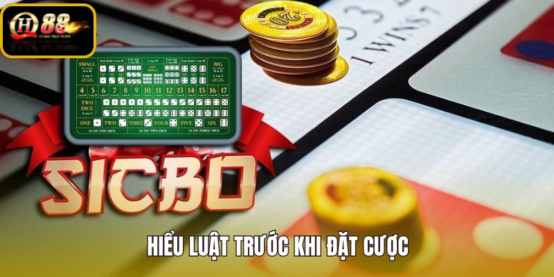 hieu-luat-truoc-khi-dat-cuoc