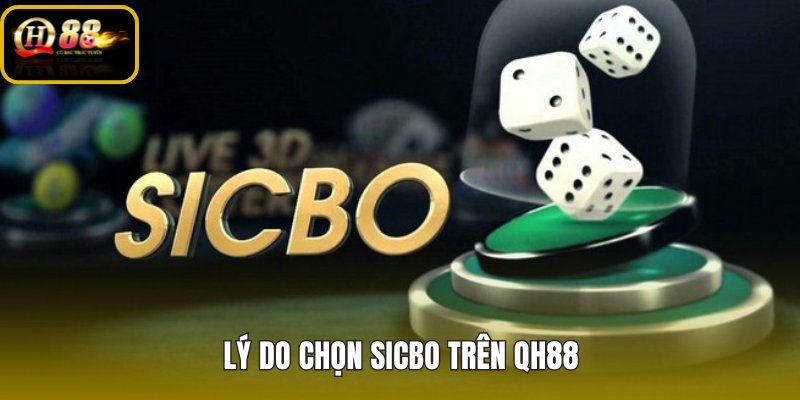 ly-do-chon-sicbo-tren-qh88