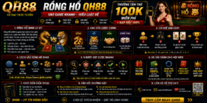 Rồng Hổ QH88