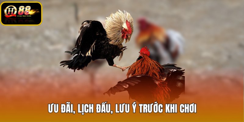 uu-dai-lich-dau-luu-y-truoc-khi-choi